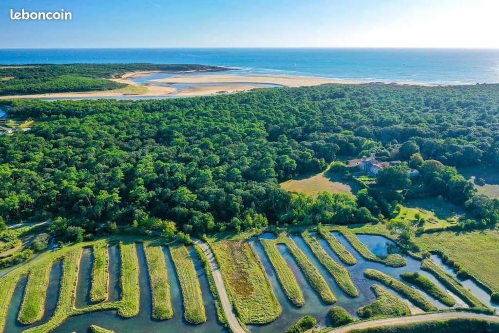 Studio Au Coeur Du Golf De Port Bourgenay, Proche Des Sables D'Olonne Talmont-Saint-Hilaire Buitenkant foto