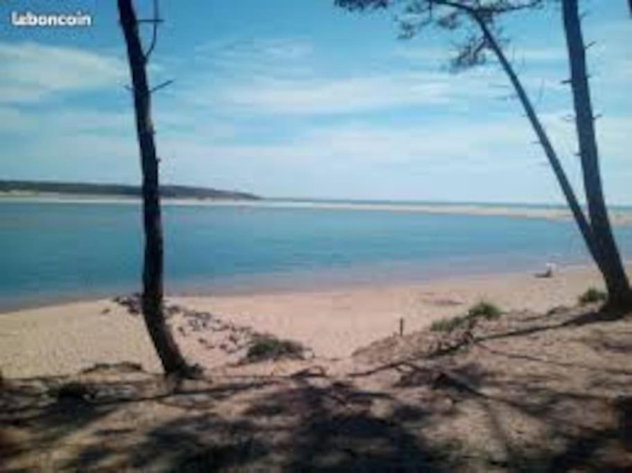 Studio Au Coeur Du Golf De Port Bourgenay, Proche Des Sables D'Olonne Talmont-Saint-Hilaire Buitenkant foto